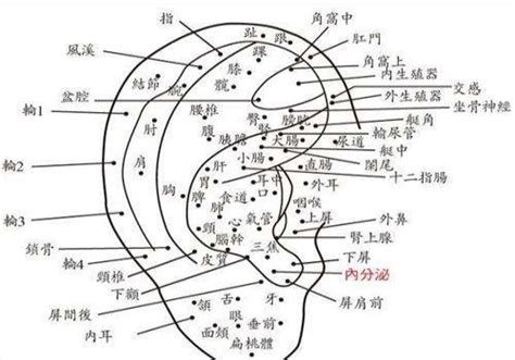 耳朵痣的位置|耳朵痣的位置与命运图解大全